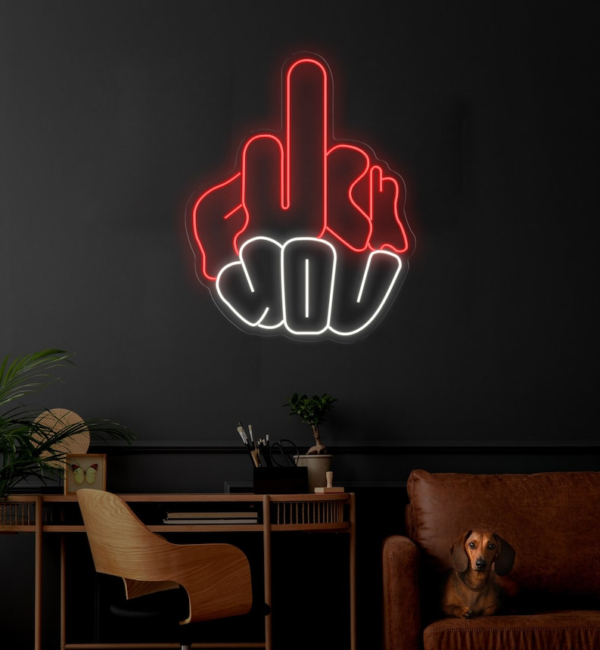 F*ck You Neon Sign, LED Neon Light Sign, Neon Sign Art